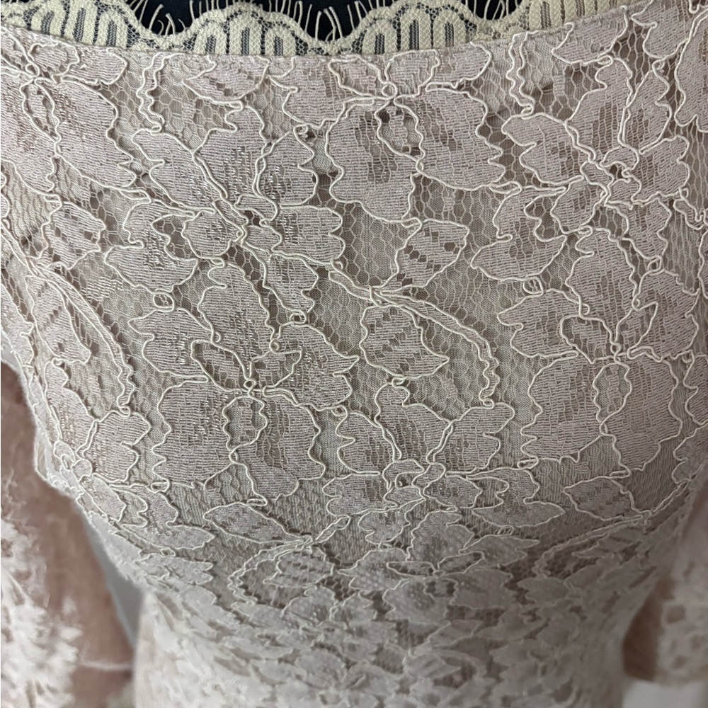 Diane Von Furstenberg Pale Pink Lace Dress - Picture 2 of 7
